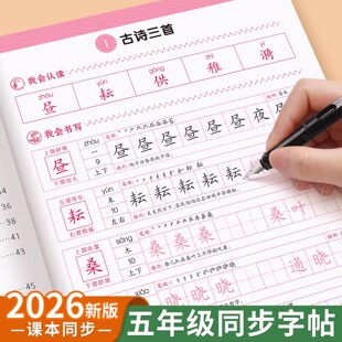 2026春季新版小学五年级下册语文同步练字帖人教版同步教材生字组词拼音古诗词临摹描红练字帖五年级上册下册每日一练小学生字帖