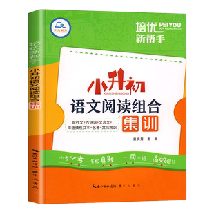 小升初阅读理解专项训练语文阅读组合集训人教版六年级下册阅读强化训练书小学升初中文言文现代文古诗词课外阅读真题总复习必刷题
