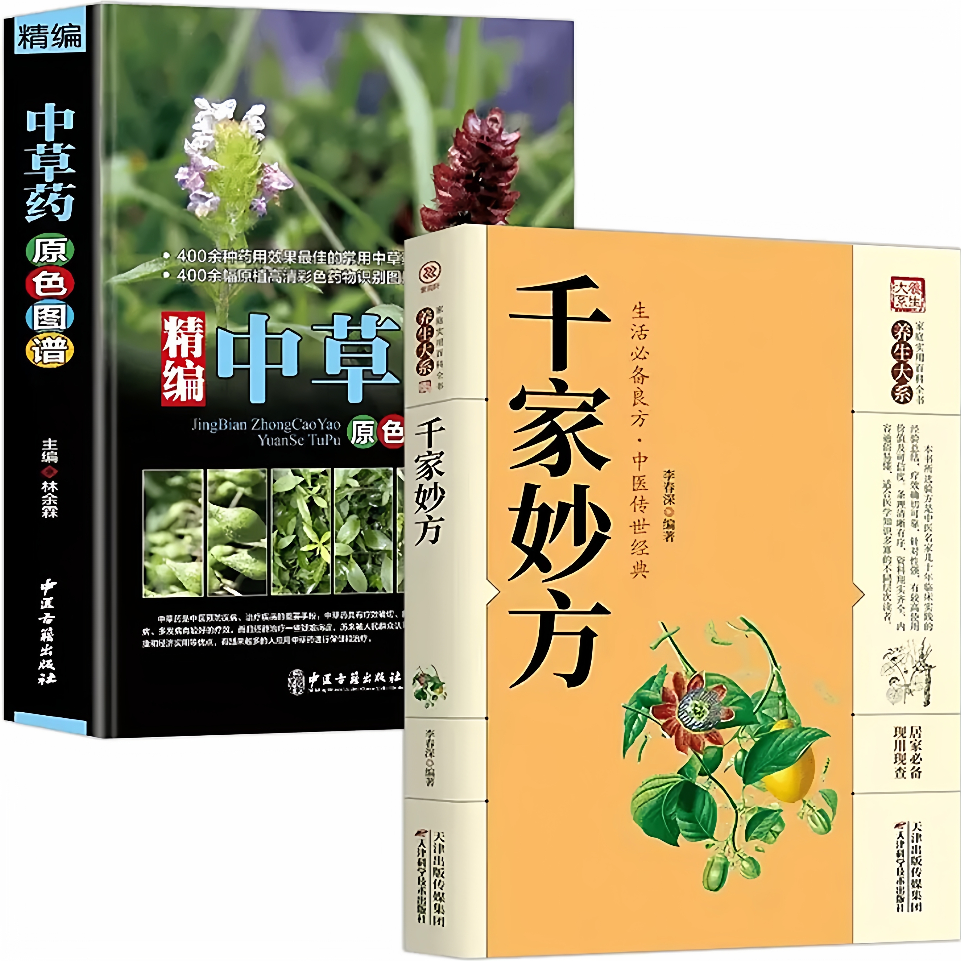 精编中草药原色图谱千家妙方正版书中草药材图鉴大全中医学入门书籍中医养生家庭实用百科全书用中草药识别应用原色图片中医学书籍
