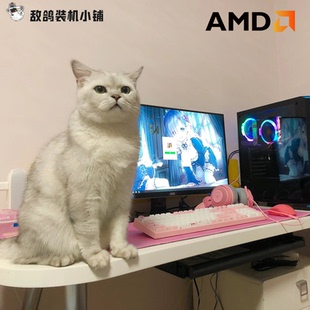 鸽鸽电竞 一台美好 AMD系列 台式 机 敌鸽电脑
