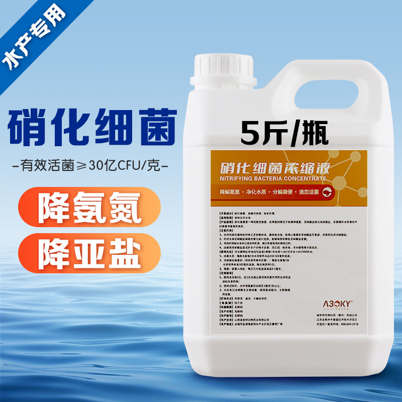 养殖硝化细菌降氨氮调水净水
