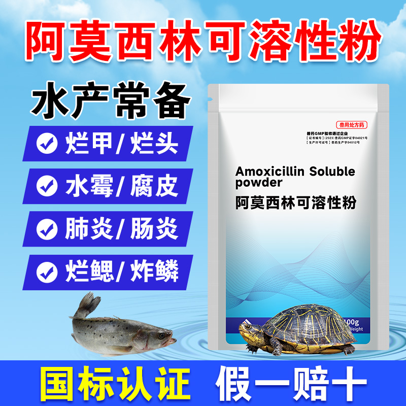 阿莫西林可溶性粉兽用水产养殖
