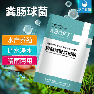 粪肠球菌调水净水产乳酸菌善改肠道鱼塘虾蟹塘水产养殖粪链乳杆菌