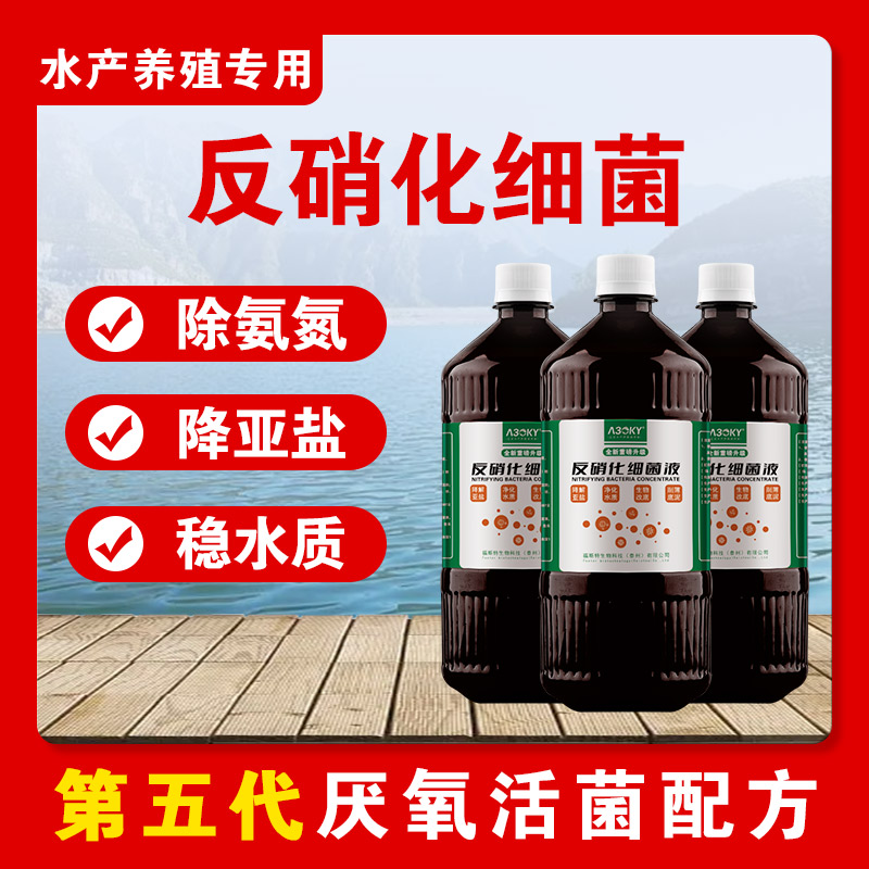 反硝化细菌水产养殖调水净水专用
