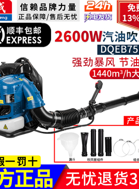 东成汽油吹风机FF-CF19背负式二冲程吹雪机灭火机马路吹尘暴风机