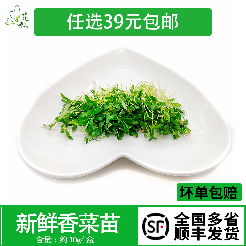 新鲜蔬菜可食用摆盘装饰