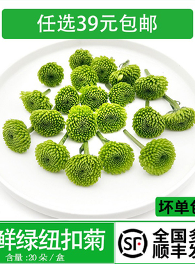 新鲜绿色纽扣菊花 绿雏菊 西餐酒店摆盘装饰鲜花草蛋糕烘焙点缀花