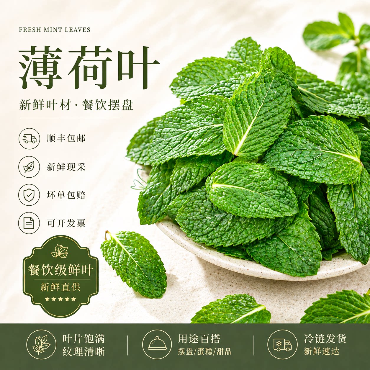 新鲜留兰香薄荷叶调酒烘焙装饰