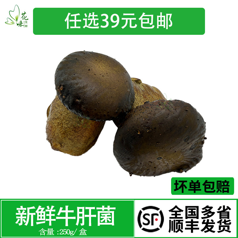 黑牛肝菌菌菇炒菜煲汤火锅食材