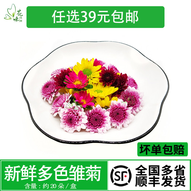 新鲜彩菊食用花草雏菊摆盘装饰