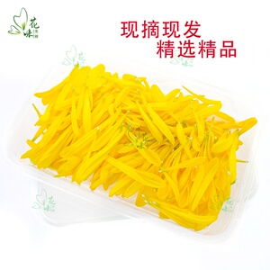 黄菊花花瓣黄菊花花瓣新鲜现摘