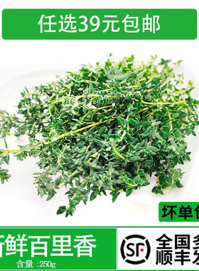 香料西餐牛排烘焙烧烤装饰调料
