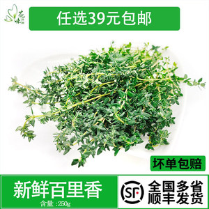 新鲜香料 百里香250g 蔬菜食用西餐牛排烘焙烧烤装饰调料点缀