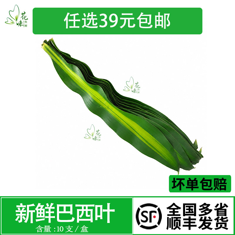 新鲜 巴西木叶 水木叶 摆盘10片食用花酒店饭店西餐摆菜盘装饰