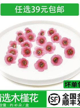 可食用鲜花酒店西餐烘焙寿司装饰