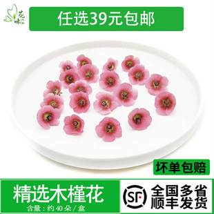 新鲜迷你木槿花可食用鲜花酒店西餐烘焙寿司装饰 摆盘点缀 40朵