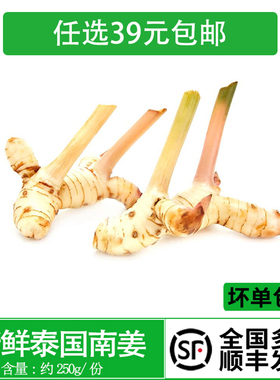 新鲜蔬菜泰国南姜500g 新鲜良姜芦苇姜高良姜冬阴功香料火锅底料