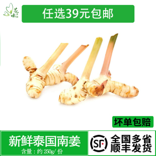 新鲜蔬菜泰国南姜500g 新鲜良姜芦苇姜高良姜冬阴功香料火锅底料