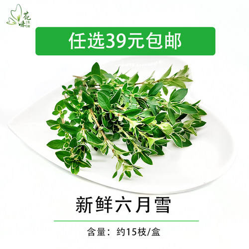 西餐酒店日料冷菜摆盘装饰点缀