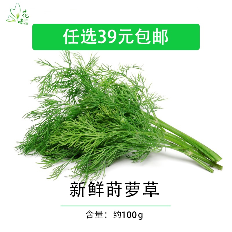 新鲜莳萝草 泰国香料 Dill 刁草 土茴香100g 食用香料西餐