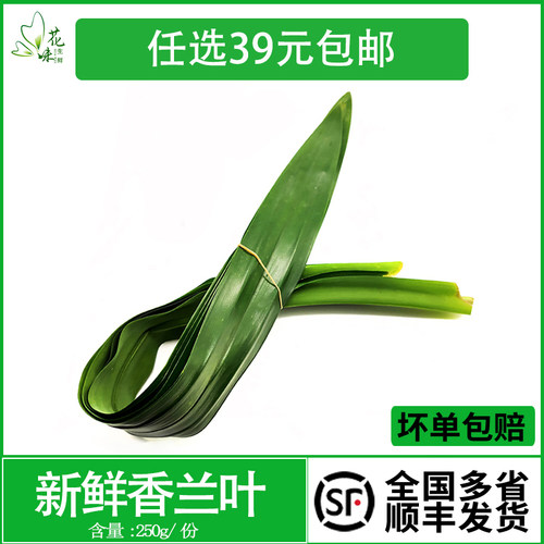 新鲜香兰叶 斑斓叶 甲抛叶 泰国香料蛋糕原料摆盘装饰烘焙奶茶