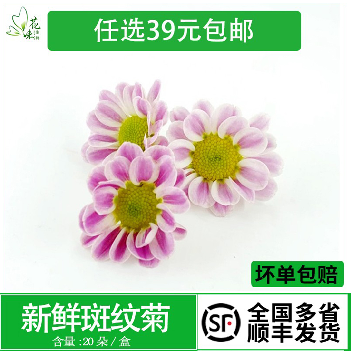 新鲜斑纹菊 约20朵西餐酒店摆盘寿司日料烘培食用鲜花装饰点缀