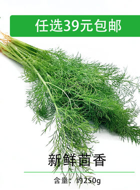 新鲜茴香叶 茴香苗 刁草洋茴香土茴香 饺子料茴香菜西餐调料 250g