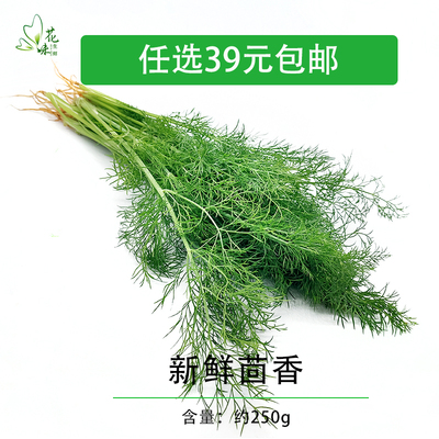 新鲜茴香叶 茴香苗 刁草洋茴香土茴香 饺子料茴香菜西餐调料 250g