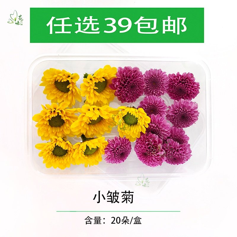 新鲜小皱菊 小菊花 混合彩菊 食用花草 西餐酒店烘焙摆盘装饰点缀