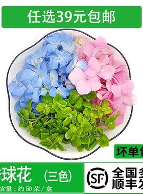 新鲜绣球花50花朵 红 蓝 绿 三色任选 酒店西餐摆盘烘焙装饰点缀