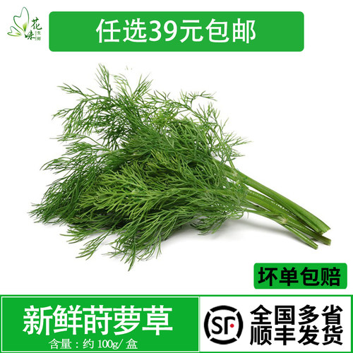 泰国香料Dill刁草土茴香