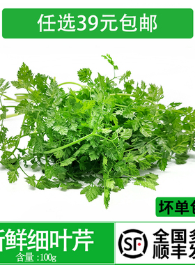 新鲜细叶芹 西餐香料  雪维菜 有喙欧芹 酒店西餐摆盘点缀 约100g