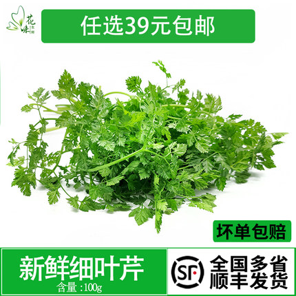 新鲜细叶芹 西餐香料  雪维菜 有喙欧芹 酒店西餐摆盘点缀 约100g