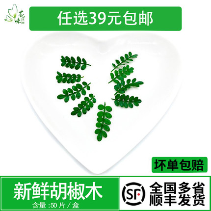 新鲜清香木 胡椒木 香叶子酒店西餐日料摆盘蛋糕烘焙点缀叶子装饰