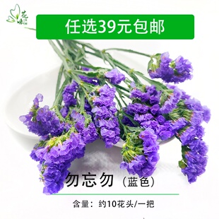 鲜花 新鲜蓝色勿忘我食用花 饰点缀 花味鲜 中西餐厅酒店摆盘装