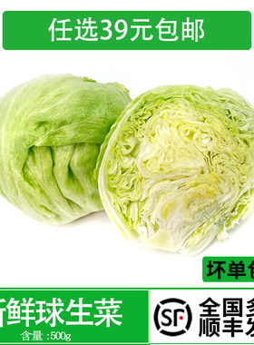 新鲜球生菜西餐蔬菜沙拉食材西餐寿司汉堡三明治即食500g
