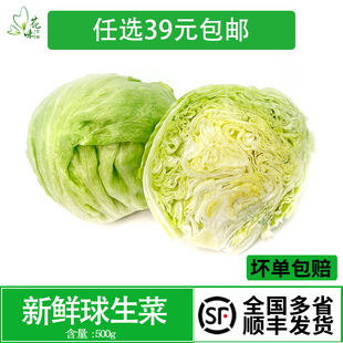 新鲜球生菜西餐蔬菜沙拉食材西餐寿司汉堡三明治即食500g