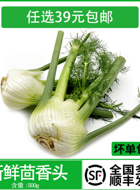 【花味鲜】新鲜蔬菜茴香头 球茎茴香根500g 西餐酒店料理食材香料