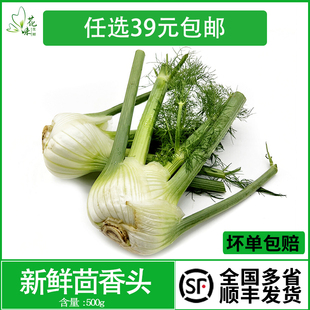【花味鲜】新鲜蔬菜茴香头 球茎茴香根500g 西餐酒店料理食材香料