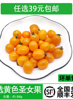 新鲜黄色圣女果 小番茄西红柿500g孕妇水果西餐食材沙拉蔬菜