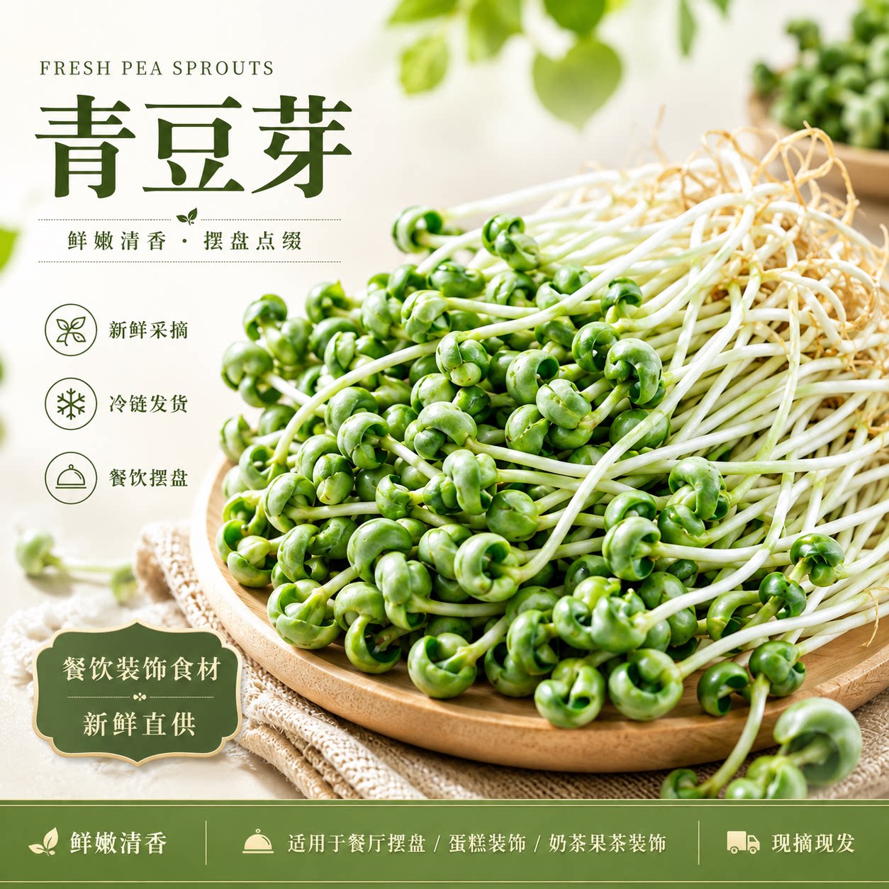 青豆芽活体火锅食材芽苗蔬菜