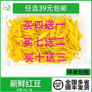 饰 新鲜黄菊花花瓣 黄菊花瓣可食用花瓣酸菜鱼火锅西餐摆盘装