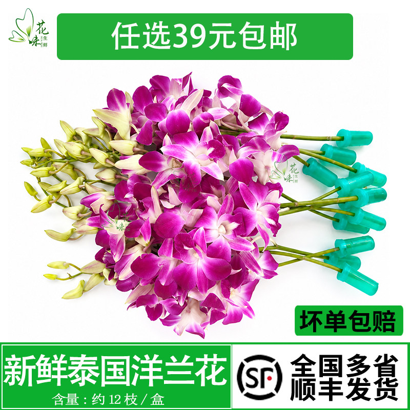 洋兰花酒店西餐摆盘装饰