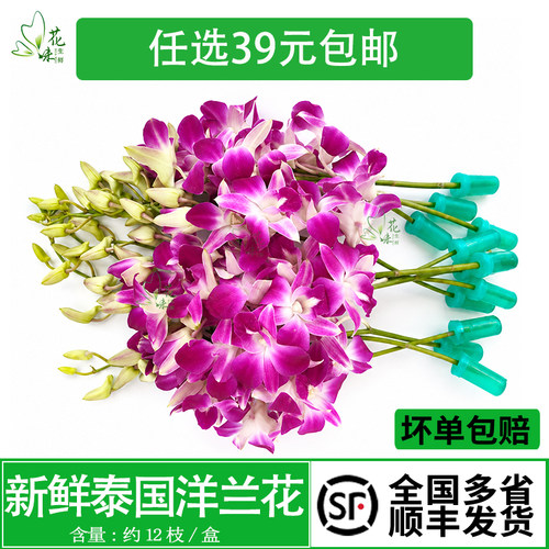 洋兰花酒店西餐摆盘装饰