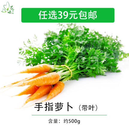 新鲜手指胡萝卜带叶500g 迷你胡萝卜蔬菜沙拉酒店西餐摆盘装饰菜