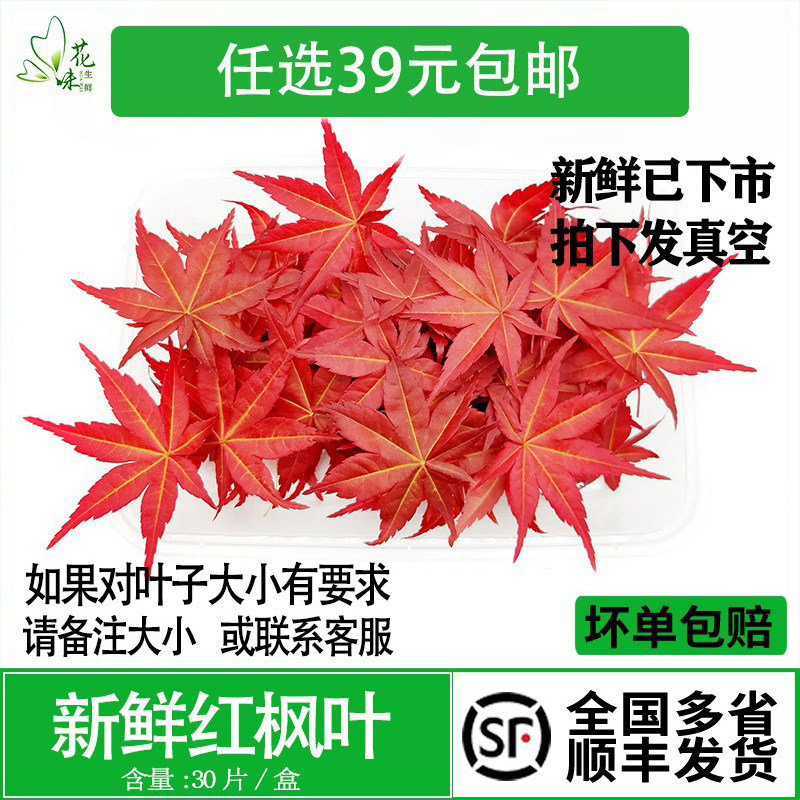新鲜红枫叶摆盘蛋糕装饰图片