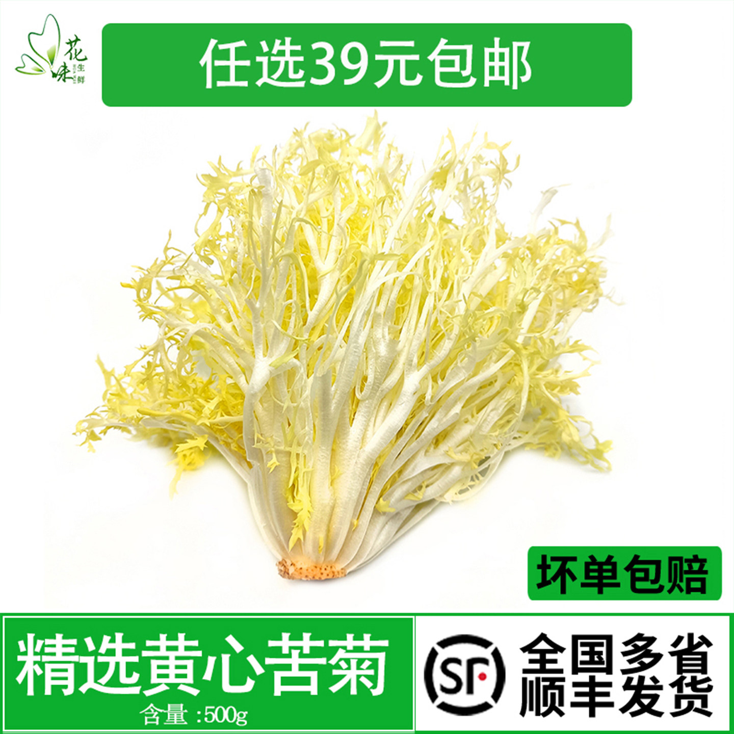 新鲜黄心苦菊削叶 苦叶生菜苦苣九芽狗牙生菜 500g蔬菜沙拉嫩黄心