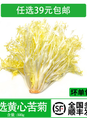 黄心苦菊蔬菜沙拉生菜