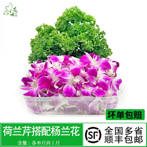 酒店火锅烤肉摆盘装饰花草