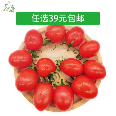 【花味鲜】新鲜果蔬圣女果千禧小番茄樱桃迷你小番茄沙拉食材500g